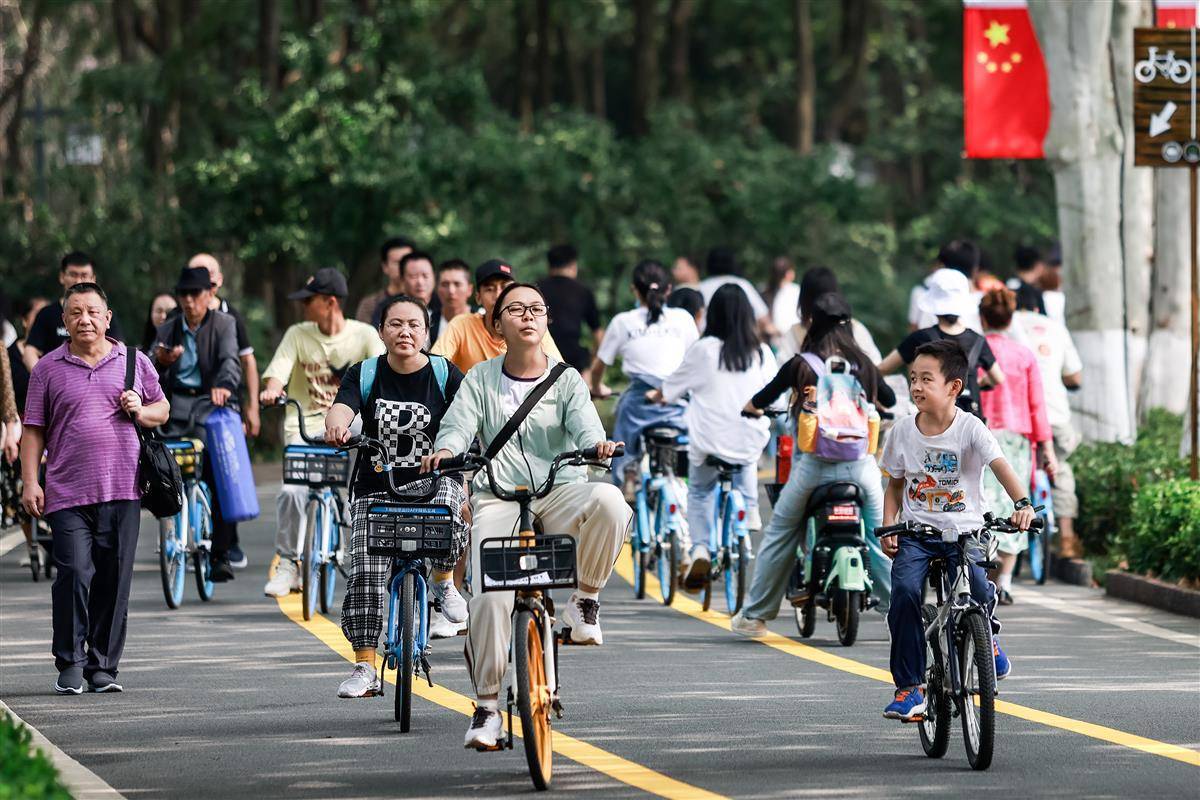 大发bet网页版
